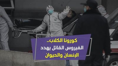 كورونا الكلاب.. الفيروس القاتل يهدد الإنسان والحيوان| فيديو جراف