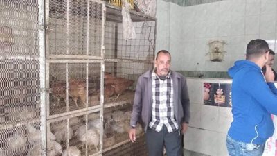 تحرير 15 مخالفة بيئية في حملة أمنية ببورسعيد | صور