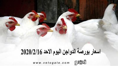 اسعار بورصة الدواجن اليوم الاحد 2020/2/16