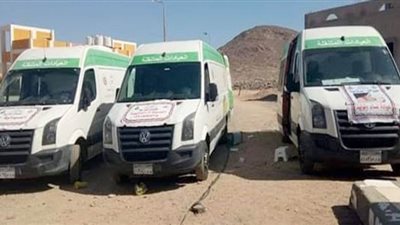 تضامن جنوب سيناء: قافلة طبية متخصصة  لأبو زنيمة وتوقيع الكشف على 667 حالة