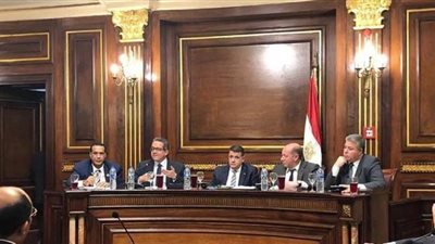 انتقادات برلمانية لدور الحكومة في دعم التعاون مع أفريقيا