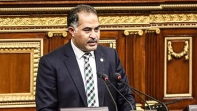 وكيل النواب: تصريحات البرلمان الأوروبي ورئيسه تجاه مصر تجاوزت الحد