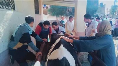 قوافل بيطرية بوحدتي نديبه وشرنوب في البحيرة بالمجان