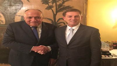 شكري يعقد لقاءً مع وزير خارجية سلوفينيا على هامش مؤتمر ميونخ للأمن