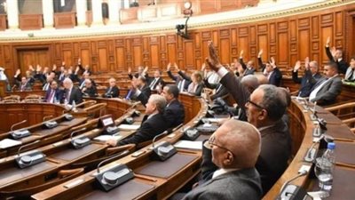 مجلس الأمة الجزائري يمنح ثقته بالإجماع لحكومة جراد