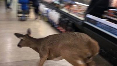 لحظة اقتحام 