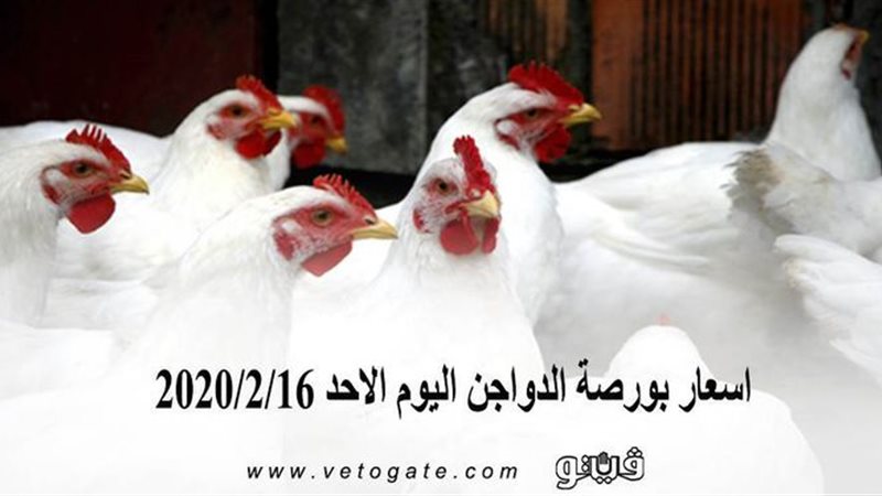 فيتو