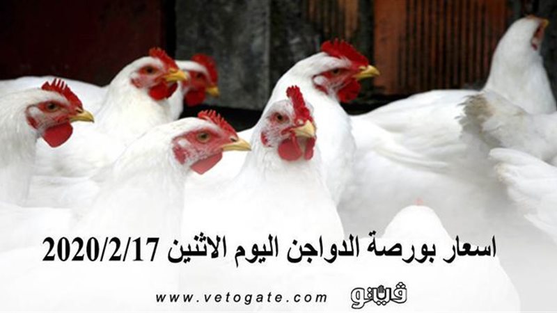 فيتو