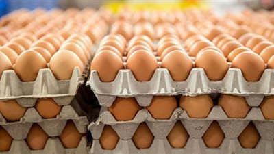 الغرفة التجارية بالقاهرة: 4 جنيهات تراجعا فى أسعار كرتونة البيض