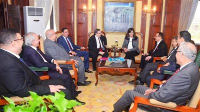 وزيرة الهجرة تبحث مع وفد طبي من المصريين إنشاء مدينة طبية عالمية