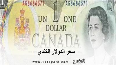 سعر الدولار الكندي | تحسن واضح للجنيه المصري