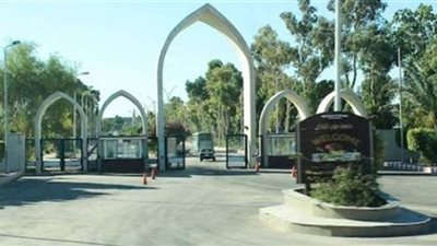 رئيس جامعة جنوب الوادي يكرم أساتذة كلية الآداب بعد بلوغهم السن القانونية