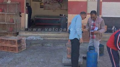 حملات تفتيش مفاجئة على مستودعات أسطوانات البوتاجاز بسفاجا | صور