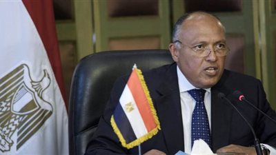 سامح شكرى يلتقى مبعوث الأمم المتحدة الخاص إلى لبنان