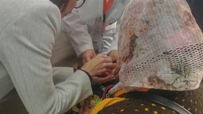 صحة الإسكندرية: تطعيم 44٪ من الأطفال في أول أيام حملة شلل الأطفال