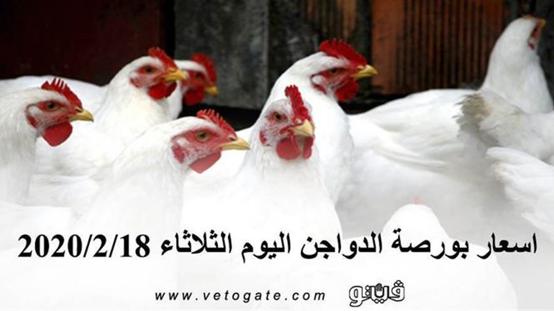 فيتو
