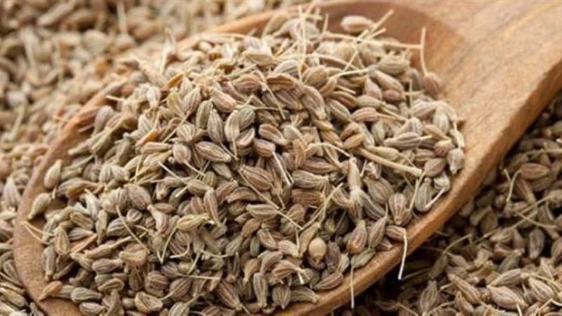 فوائد اليانسون