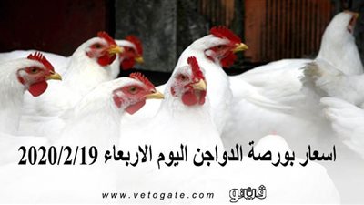 اسعار بورصة الدواجن اليوم الأربعاء 2020/2/19