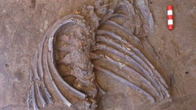 اكتشاف إنسان بدائي في العراق يفك لغز طقوس الموت