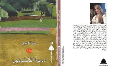 هيئة الكتاب تصدر رواية 