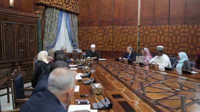 شيخ الأزهر: الإعلام عليه مسئولية كبيرة في النهوض بالقارة السمراء