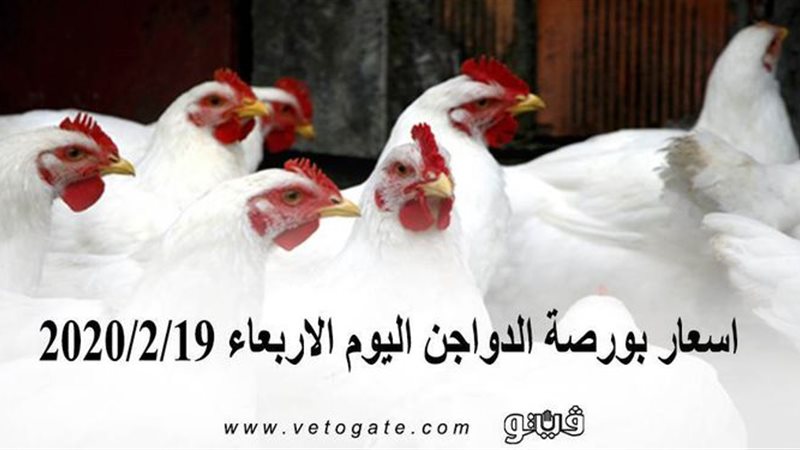 فيتو