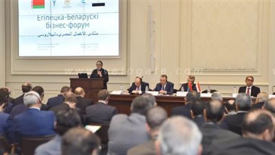 تعرف على الفرص الاستثمارية المصرية أمام دوائر الأعمال العالمية
