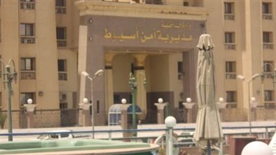 حبس ربة منزل 4 أيام في واقعة غرق رضيع في طشت غسيل بأسيوط