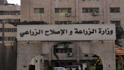 هل تسبب استيراد أعلاف صينية في ظهور سلالة جديدة من أنفلونزا الطيور؟