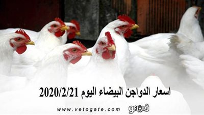 اسعار الدواجن البيضاء اليوم 2020/2/21
