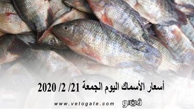 أسعار الأسماك اليوم الجمعة 21/ 2/ 2020