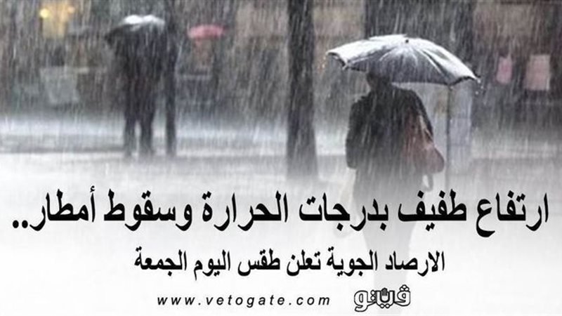 فيتو
