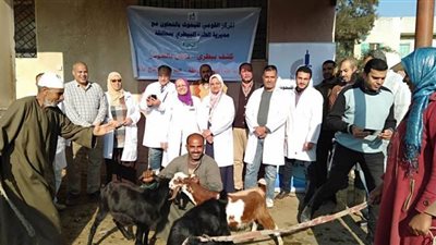 فحص 168 رأس ماشية بقافلة بيطرية بالبحيرة