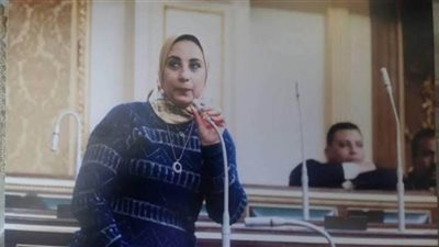 سؤال برلماني عن أسباب تراجع الطلب على العمالة المصرية في الخارج