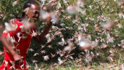 بعد كورونا.. 