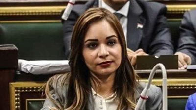 نائبة تحذر الشباب من شركات النصب على مواقع التواصل