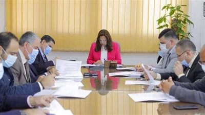 محافظ دمياط تبحث تطبيق الدراسات البيئية لمصانع المنطقة الحرة