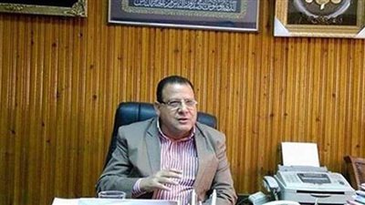 البدوي يشيد بتقارب وجهات النظر بين مصر والسودان في أزمة سد النهضة