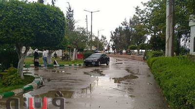 موجة طقس سيء وأمطار غزيرة في المنصورة | فيديو