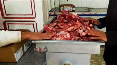 اعدام نصف طن أغذية وتحرير ٩ محاضر في حملات تموينية بالدقهلية