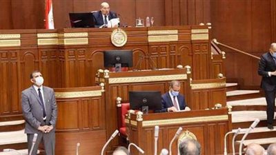 مجلس الشيوخ يبدأ ممارسة اختصاصاته خلال أيام.. السيسي يصدق على اللائحة الداخلية.. وآليات خاصة لتشكيل اللجان النوعية وانتخاب هيئة المكتب