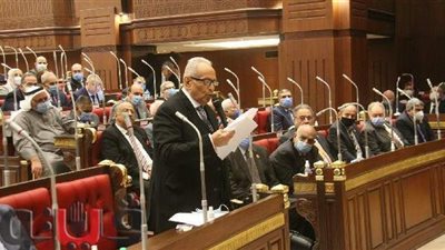 مجلس الشيوخ يعود للانعقاد الاثنين.. لإجراء انتخابات هيئات مكاتب اللجان النوعية