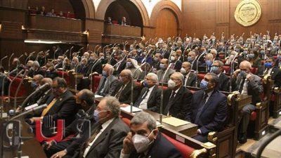 انتخاب هيئات مكاتب اللجان النوعية الـ١٤ بمجلس الشيوخ.. اعرف التفاصيل