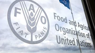 للشهر التاسع على التوالي.. منظمة الأغذية العالمية تسجل ارتفاعا في مؤشر الأسعار العالمية