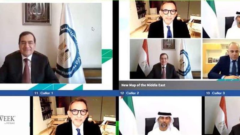 جانب من المؤتمر الافتراضي