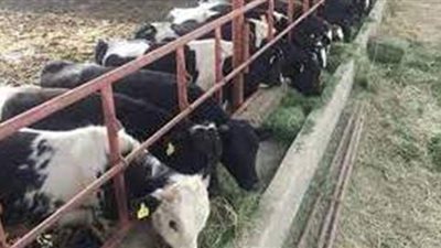 زراعة القليوبية: منح 250 مليون جنيه للمنتفعين بمشروع البتلو