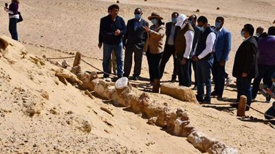 السياحة: وادي الحيتان طريق الفيوم إلى العالمية