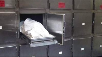 سقط من سلم المنزل.. تفاصيل مصرع معاق ذهنيا في الدقهلية