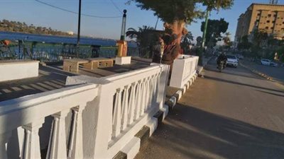 بمشاركة طلاب ومعلمي التعليم الفني.. تجميل كورنيش النيل بأسيوط |صور