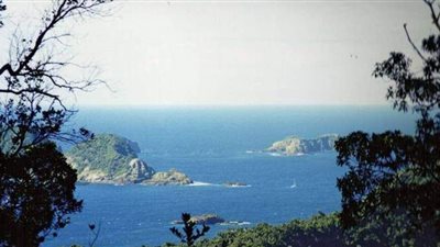 زلزال يضرب سواحل نيوزيلندا وتحذيرات من تسونامى